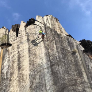 Untitled design (11)